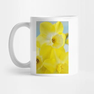 Narcissus  &#39;Regeneration&#39;  Division 7 Jonquilla   Daffodil Mug